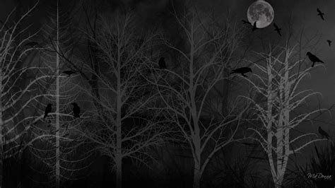 Scary Forest Wallpaper 57 Images