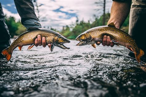 The Best Fly Fishing Spots In Maine For 2023