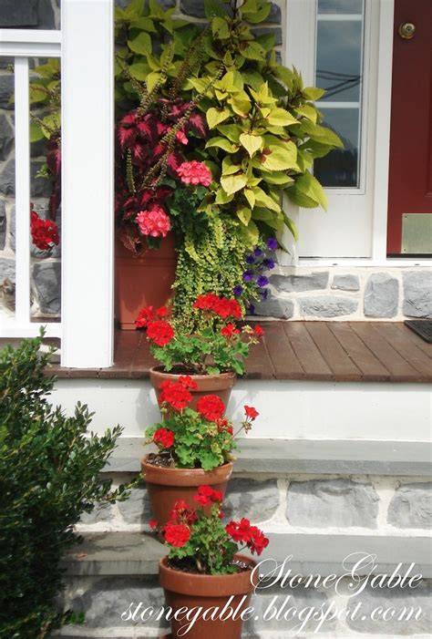 Top 10 Flower Pots That Will Make Your Porch Amazing Top