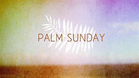 Happy Palm Sunday 2014 Hd Images Greetings Wallpapers Free Download