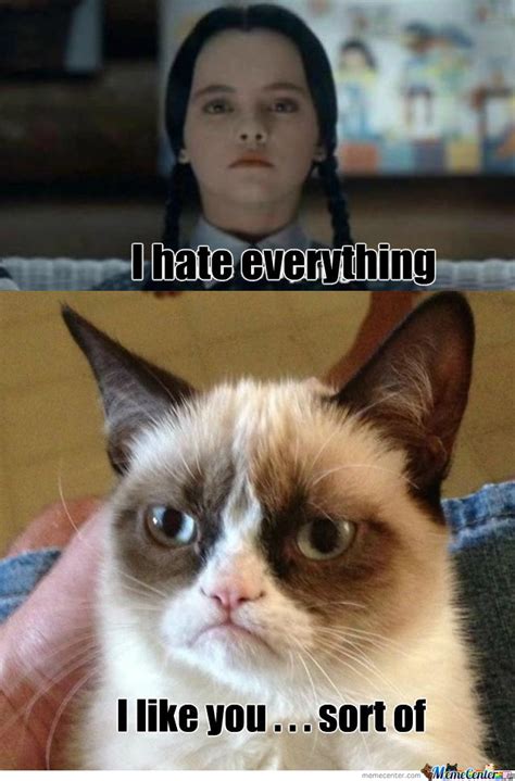 Mad Cat And Wednesday Funny Grumpy Cat Memes Grumpy Cat Quotes Grumpy