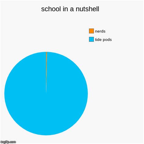 School In A Nutshell Imgflip