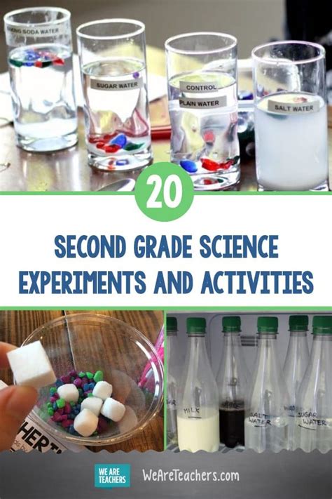 50 Simple And Fun 2nd Grade Science Experiments And Activities Second