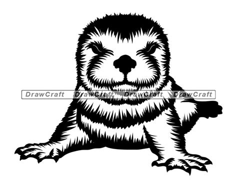 Baby Otter Svg Sea Otter Svg Otter Pup Svg Baby Otter Cut | Etsy