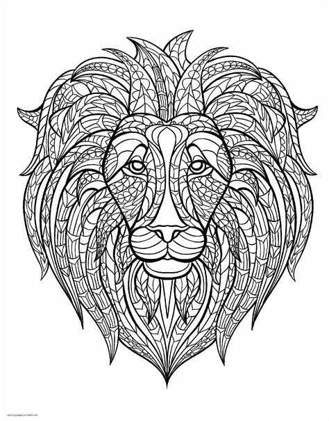16 Lion Coloring Pages Images