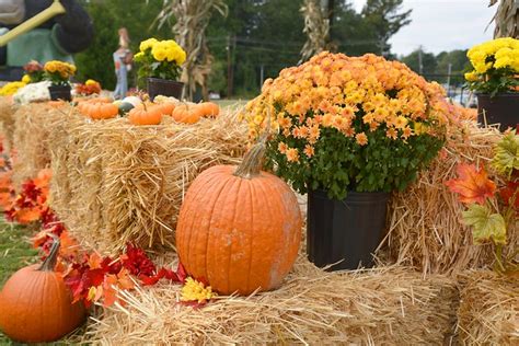 Autumn Harvest Scene Flickr Photo Sharing