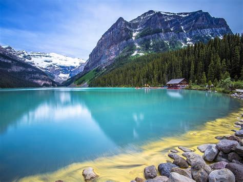 Forest Turquoise Lake Guarded Scenery Hd Wallpaper Preview