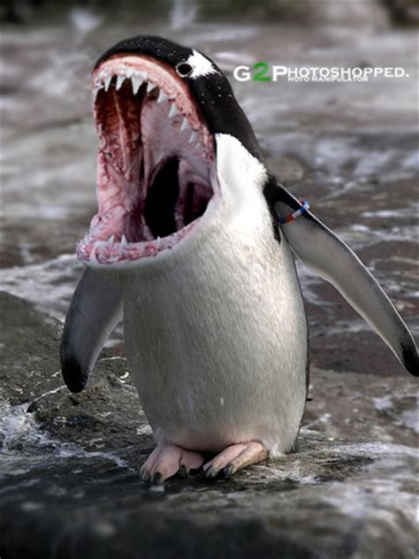 Sharkguin Animal Mixes Pinterest Penguin Awareness