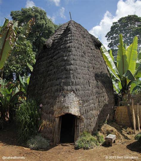 ethiopian dorze homes vernacular architecture natural homes african house