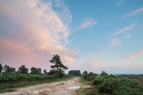 Beautiful Summer Sunset Landscape Image Of Ashdown Forest In Eng Stock