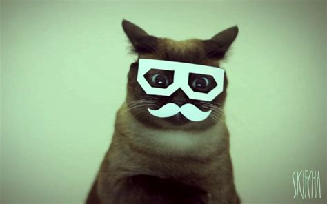 Dubstep Hipster Cat Viral Video Scopecube