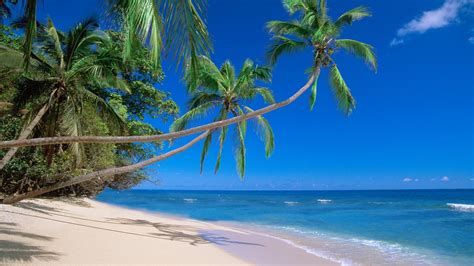 We did not find results for: nature, Fiji, Beaches Wallpapers HD / Desktop and Mobile ...