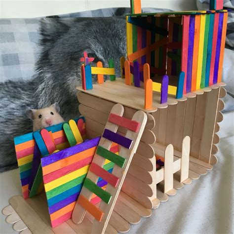 21 The Best Hamster House You Can Create Now Hamster Diy Hamster