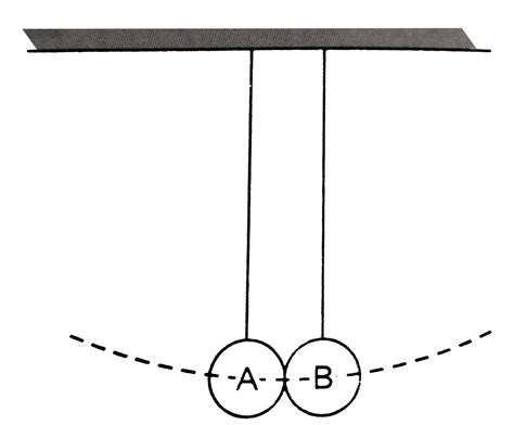 Two Pendulums With Identical Bobs And Lengths Are Suspended From A Com