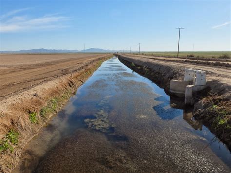 Travelmarx A Morning Stroll Along Irrigation Ditches In Imperial Valley