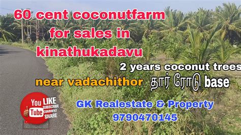 60 Cent Coconutfarm For Sales In Kinathukadavu Youtube