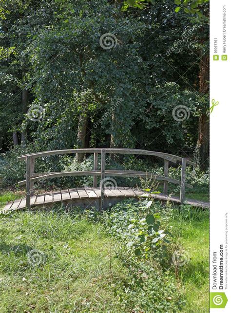 Bridge Over A Brook In A Forest Stock Image Image Of Path Railing