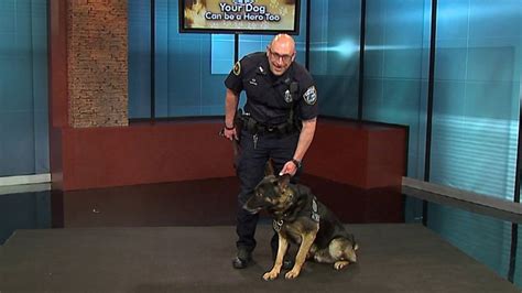 Your Dogs Can Help The Milwaukee Police Department K9 Unit