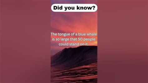 Fascinating Unknown Facts That Will Astonish You Youtube