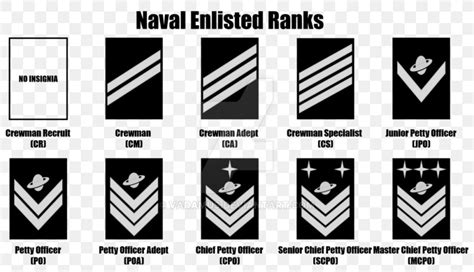 United States Navy Officer Rank Insignia Military Rank Enlisted Rank