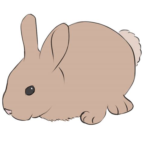 How To Draw A Bunny Easy Drawing Art