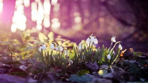 Think Spring Wallpapers Top Free Think Spring Backgrounds