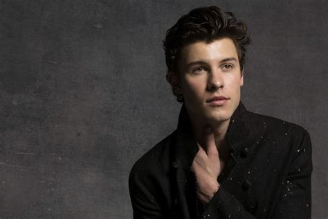 Shawn Mendes Returns With New Single In My Blood