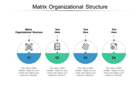 Matrix Organizational Structure Ppt Powerpoint Presentation Inspiration