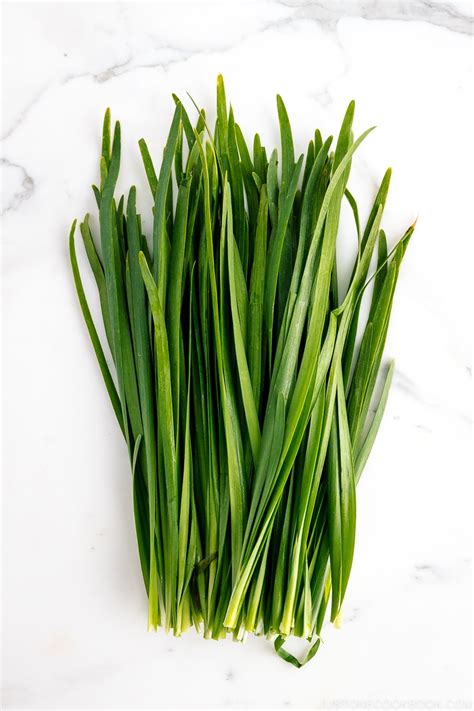 Garlic Chives • Just One Cookbook