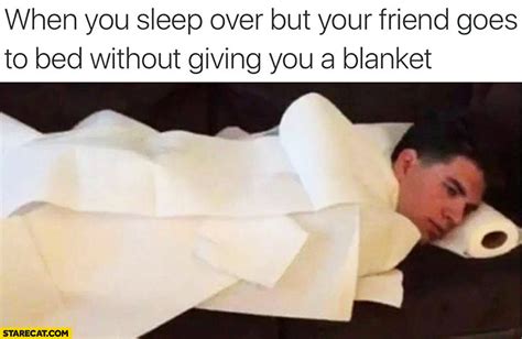 Blankets Memes Starecat