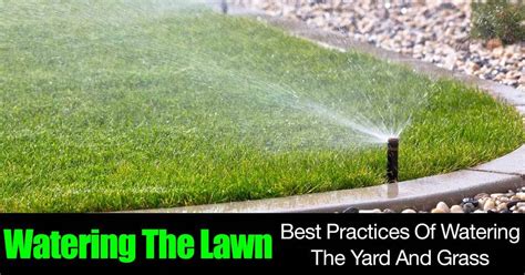 Check spelling or type a new query. Watering The Lawn - Best Practices Of Watering The Yard And Grass