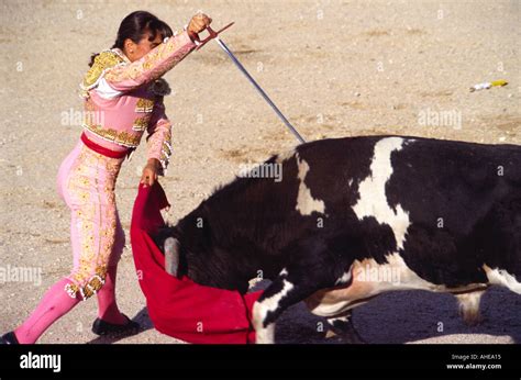 Spain Female Bullfighter Driving Sword Into Bull Stock Photo Alamy