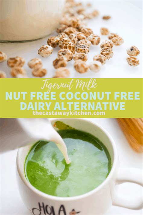 Homemade Tiger Nut Milk Nut Free Dairy Free Coconut Free