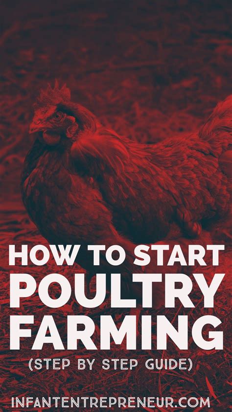 How To Start Poultry Farming In 2021 Poultry Farm Farm Poultry