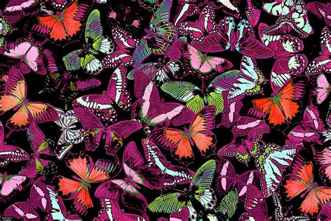 Neon Butterflies Painting By Jq Licensing Fine Art America