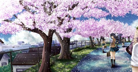 Aesthetic Cherry Blossom Desktop Wallpaper Anime Mural