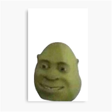 Cursed Shrek Face Meme Metal Print For Sale By Oldietees Redbubble