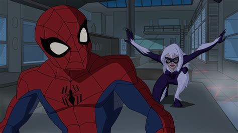 The Spectacular Spider Man Meets Black Cat Youtube
