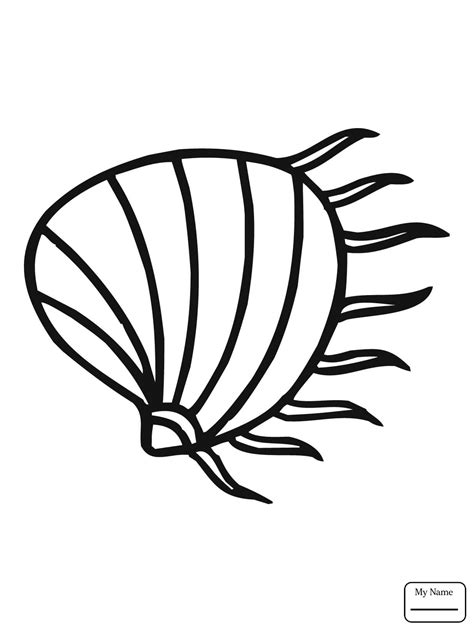 These seashell coloring pages online are not only fun, but also interesting, as they help your kids understand the the picture shows the top part of a clam shell laying aside on the beach. Clam Shell Drawing at GetDrawings | Free download