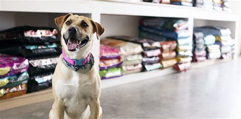 15 Pet Stores In San Diego North County Guide Ync