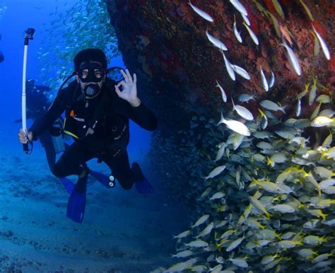 Scuba Diving In Havelock Island Experience The Underwater Wonders