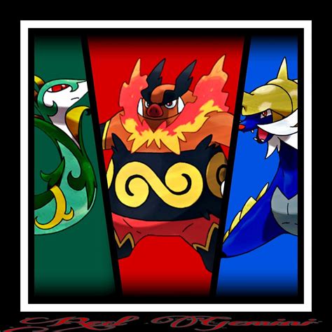 5th And 6th Generation Starters Pokémon Amino