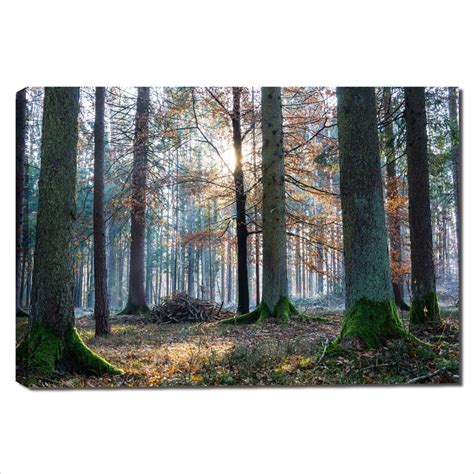 1 Panel Forest And Sunrise Oil Painting Green Tree Woods Canvas Prints