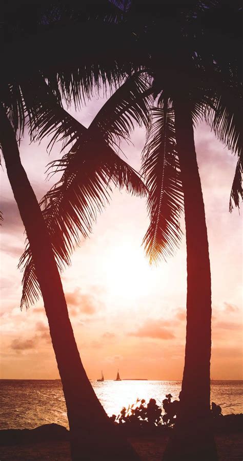 Sunset At The Tropical Beach Iphone Wallpaper Best Beach Iphone