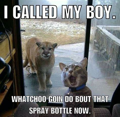Spray bottle can be crafted using the worktable: Spray Bottle.... | Funny animal quotes, Cute funny animals ...