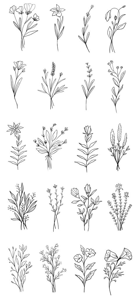 Wildflower Vector Illustrations