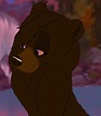 New Brother Bear OC by magicwonder10 on DeviantArt
