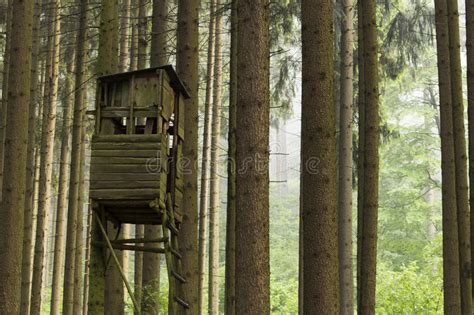 Birdwatching Tower Bird Watching Observation Tower In The Forest Stock