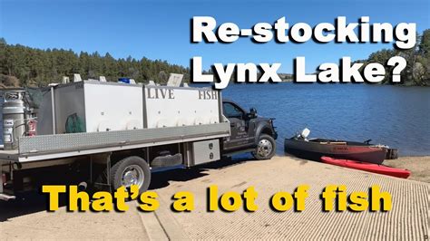 Lynx Lake Prescott Az Re Stocking Fish Prescott Lakes Youtube