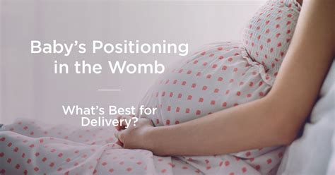 Baby Positions In Womb What They Mean Baby Position Baby In Womb Womb